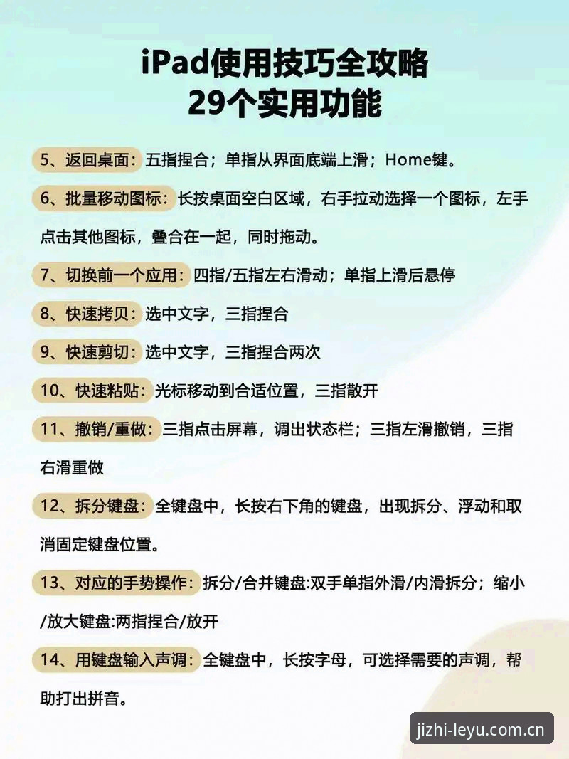 乐鱼体育平台使用实用指南：从下载到观赛的完整操作教程